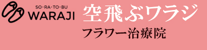 空飛ぶワラジ