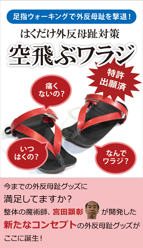 メインイメージ メインイメージ